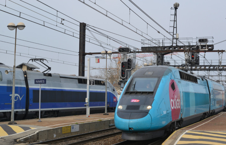Le TGV "trop cher" et les Ouigo "moins attractifs" - Fnaut
